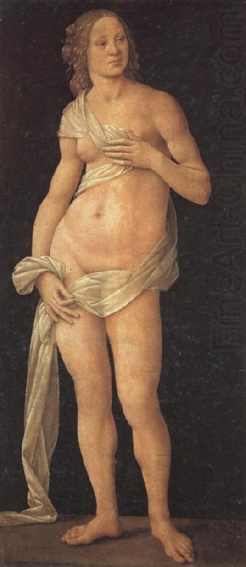 LORENZO DI CREDI Venus china oil painting image